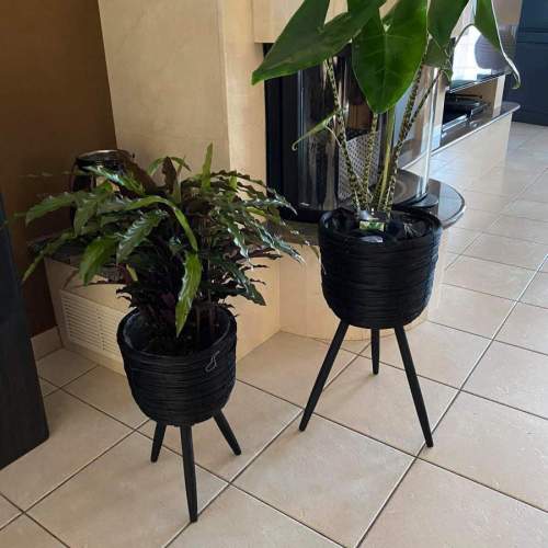 Kamerplanten in zwarte potten op pootjes