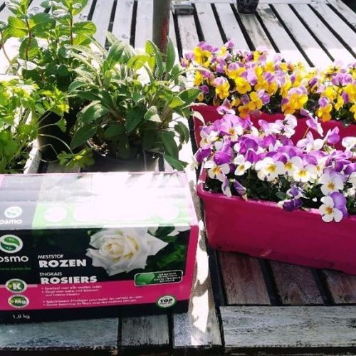 Online bestelling viooltjes in bloembak, meststof voor rozen & kruiden