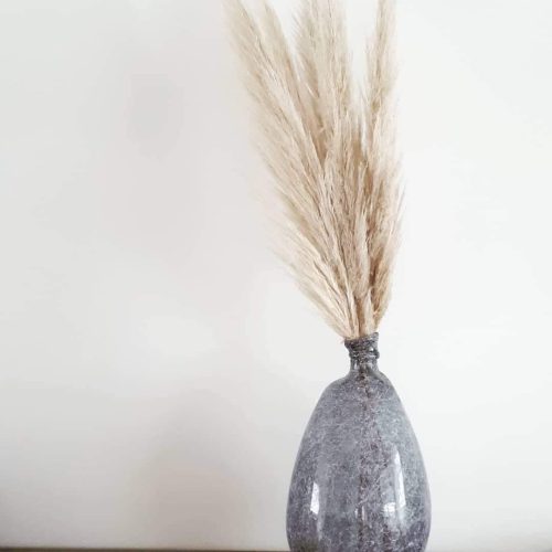 Droogbloemen, pampas en pluimen