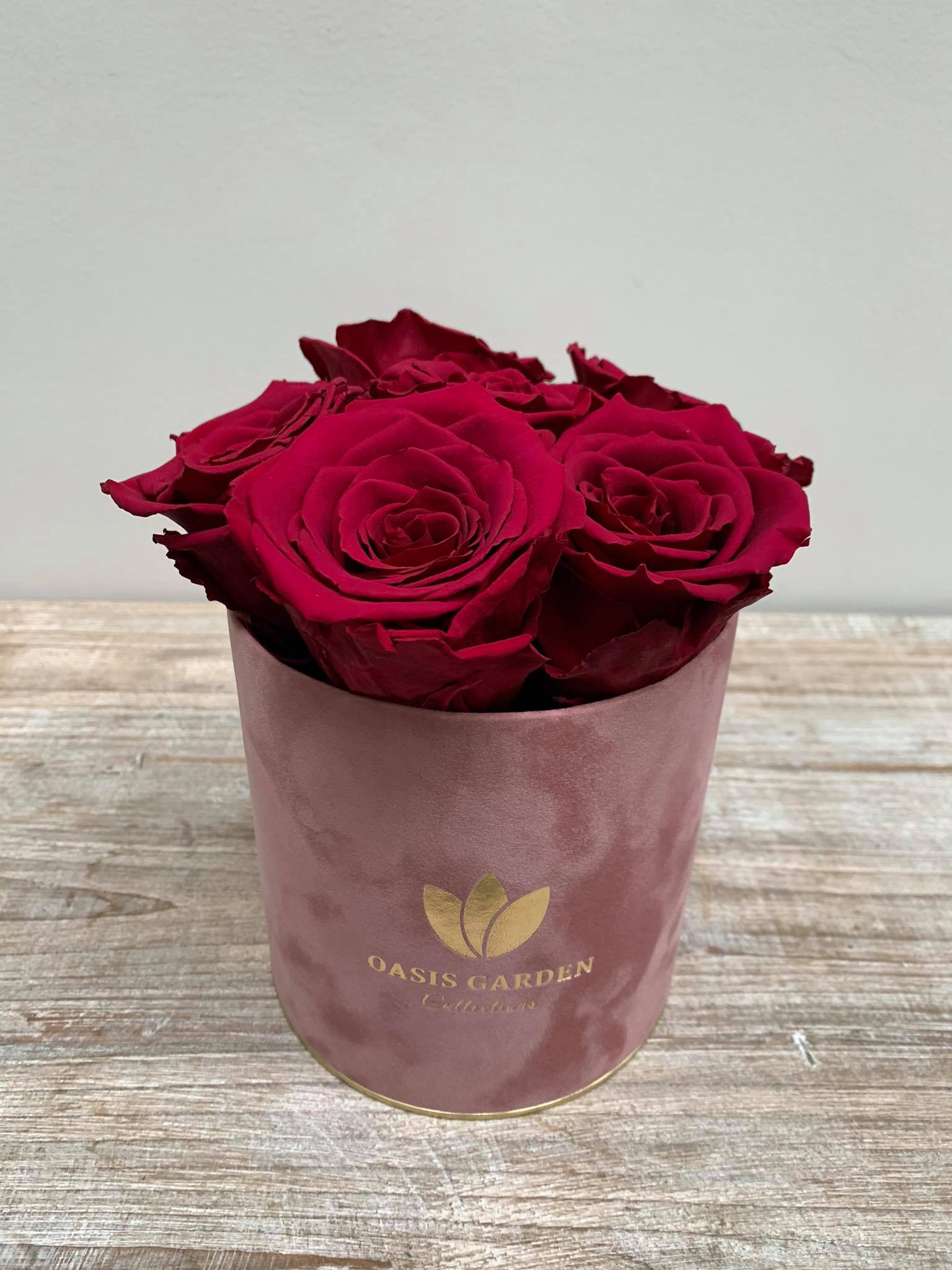 kaart Specialist Krachtig Flowerbox eeuwige rozen | Oasis Garden by Suenaert: cadeau